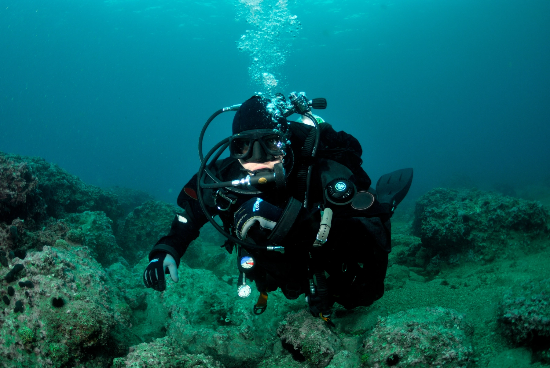 غواص البدلة الجافة