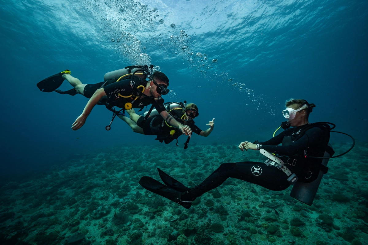 الغواص الموجه