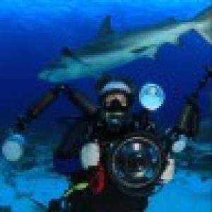 bcampbell65의 프로필 사진